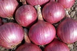 Cebolla Roja (500g)