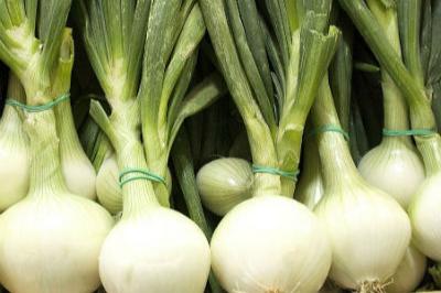Cebolla Tierna (500g/2 cebollas)