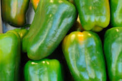 pimientos verdes